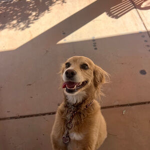 Meet your Posher, Seth